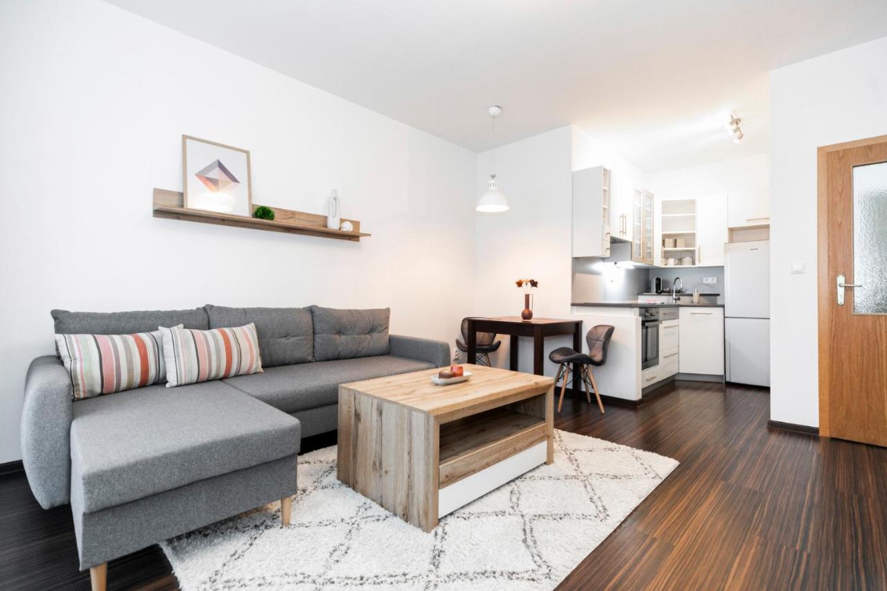 Alure Residences 3 & 24H Self Check-In, Parking In The Garage In The Apartment Building Included, New Building, Terrace, Green Location With A Forest Park With A Lake, Children'S Playground บันสกาบิสตรีตซา ภายนอก รูปภาพ